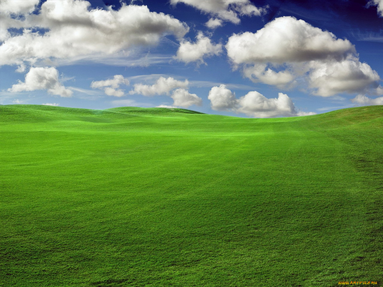 waiting, for, sunset, , windows, vista, longhorn